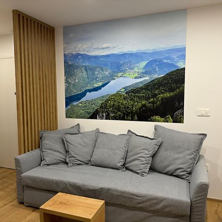 Apartma Tisa Bohinj-No Ouside Windows 外观 照片