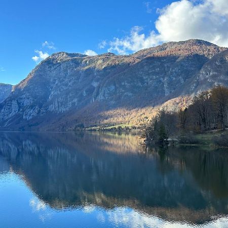 Apartma Tisa Bohinj-No Ouside Windows 外观 照片