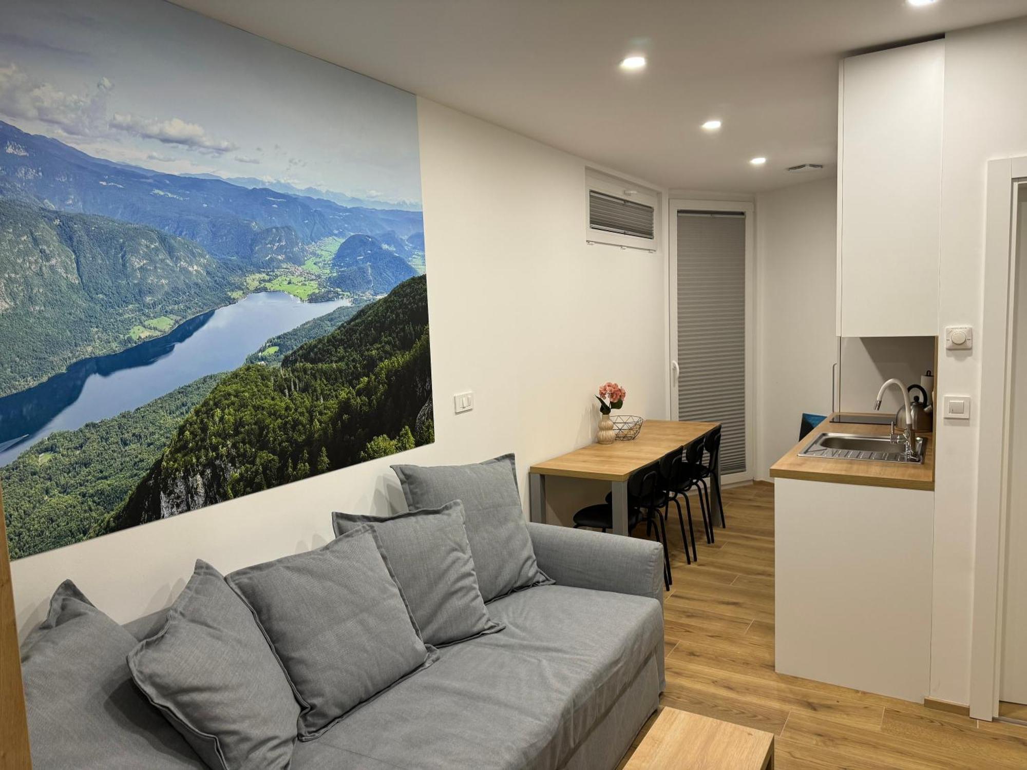 Apartma Tisa Bohinj-No Ouside Windows 外观 照片