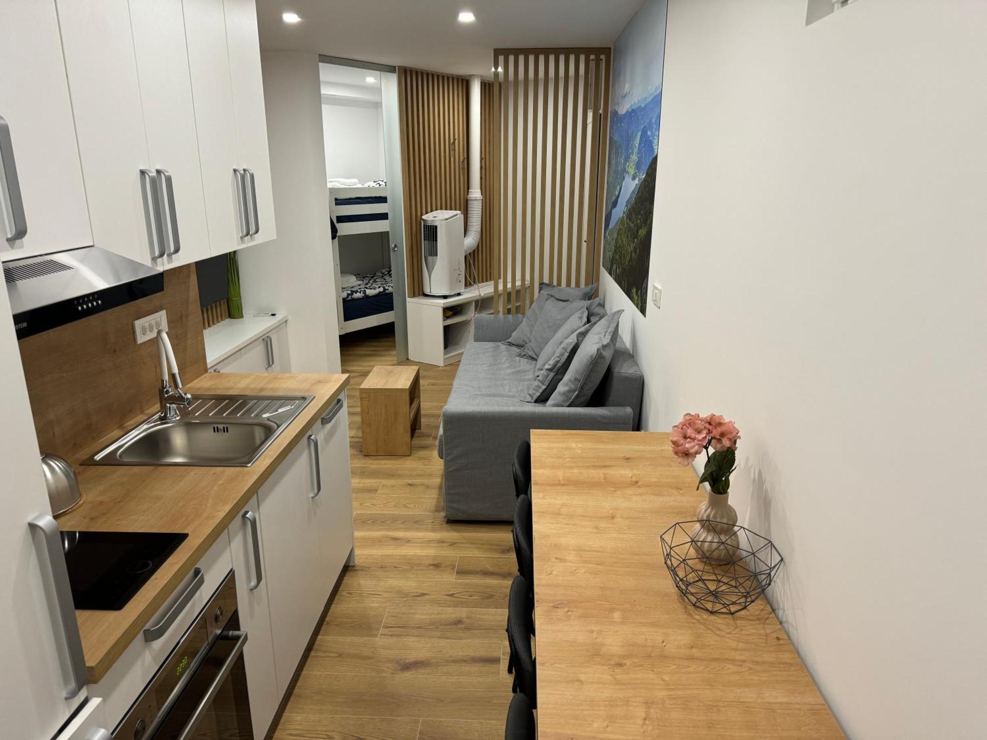 Apartma Tisa Bohinj-No Ouside Windows 外观 照片