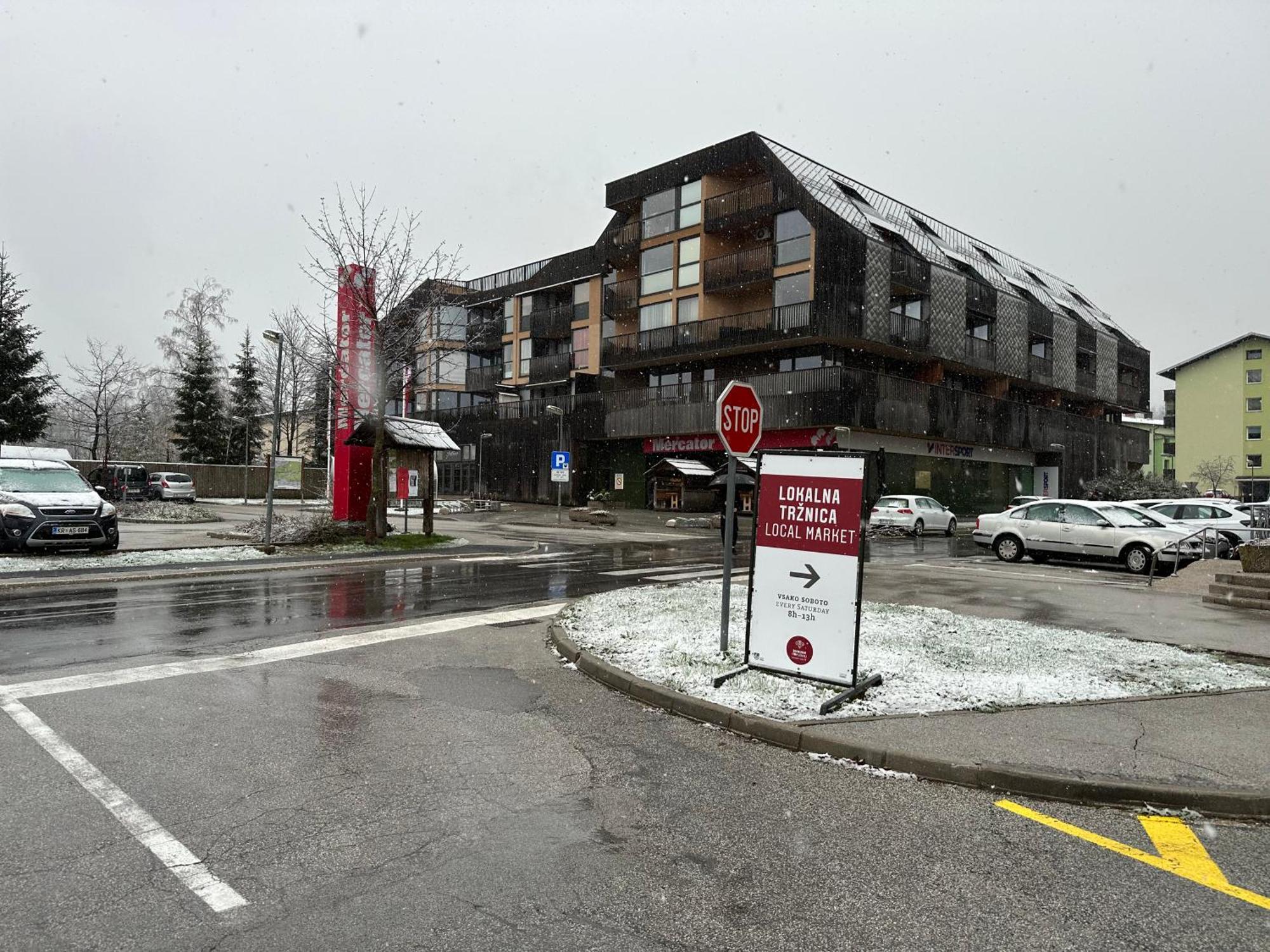 Apartma Tisa Bohinj-No Ouside Windows 外观 照片