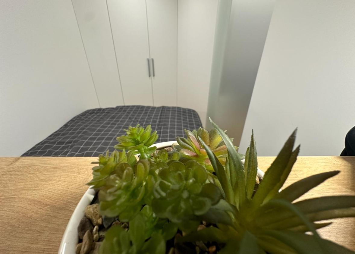 Apartma Tisa Bohinj-No Ouside Windows 外观 照片