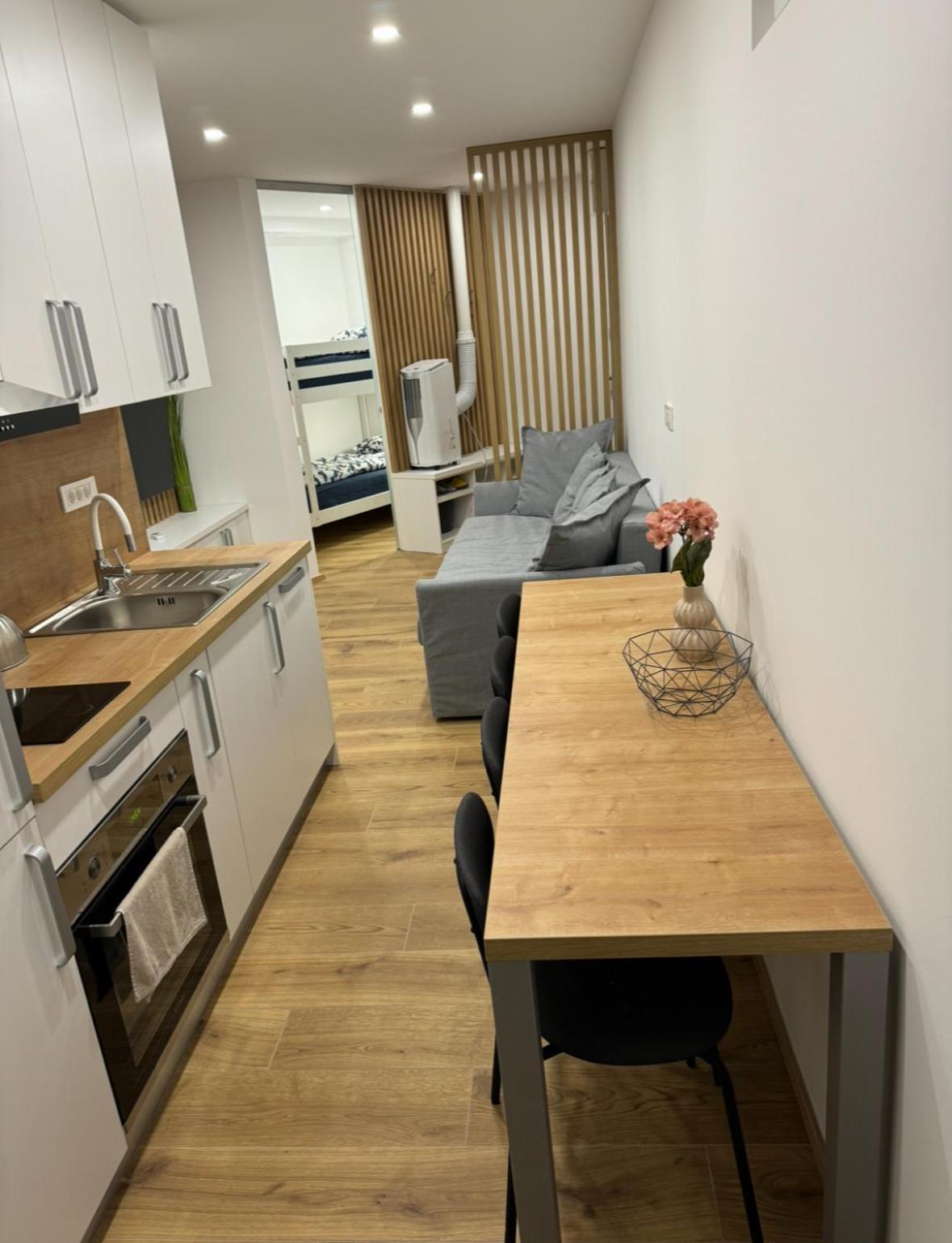 Apartma Tisa Bohinj-No Ouside Windows 外观 照片