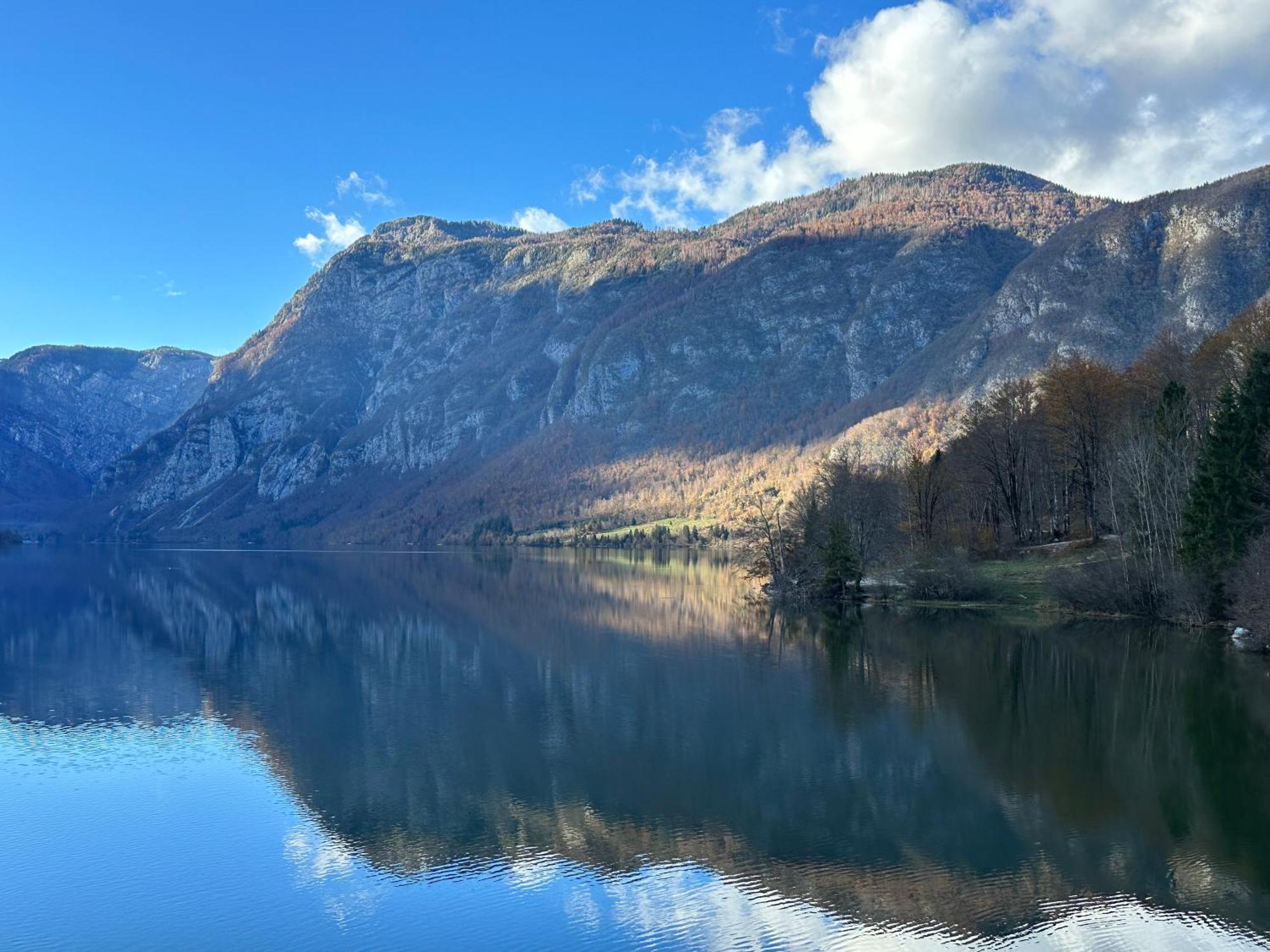 Apartma Tisa Bohinj-No Ouside Windows 外观 照片